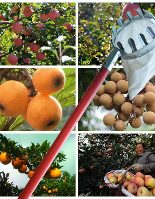 Load image into Gallery viewer, Metal Fruit Picker for Orchard Gardening - High Tree Apple and Peach Collection Tool
