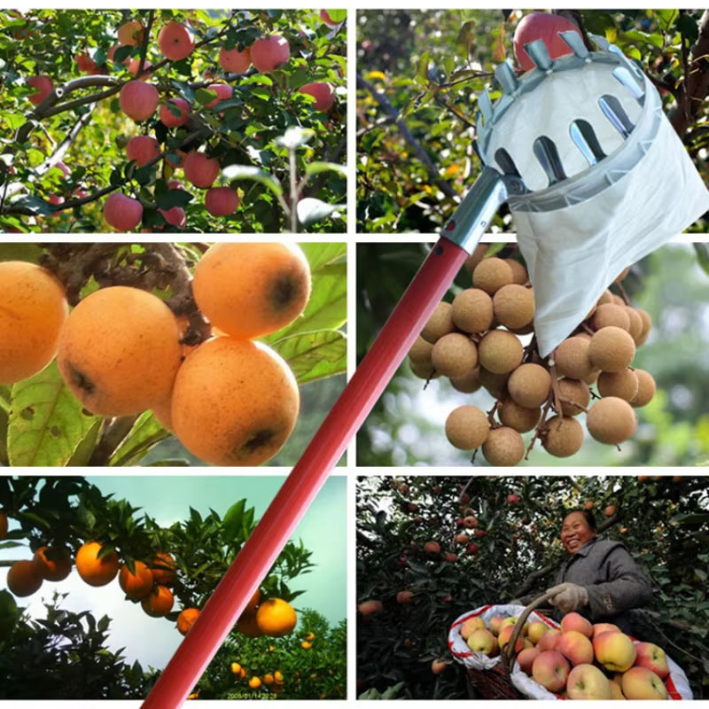 Metal Fruit Picker for Orchard Gardening - High Tree Apple and Peach Collection Tool