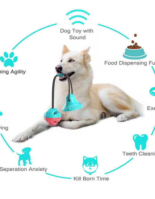 Load image into Gallery viewer, Large Interactive Dog Ball Toy with Suction Cup Ropes - Chew and Slow Feeder for Dental Health and Anxiety Management
