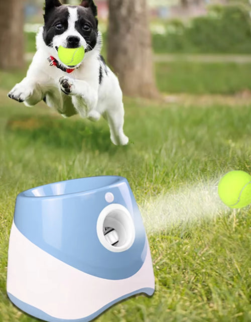 Load image into Gallery viewer, Interactive outdoor dog toy for exercise and play.
