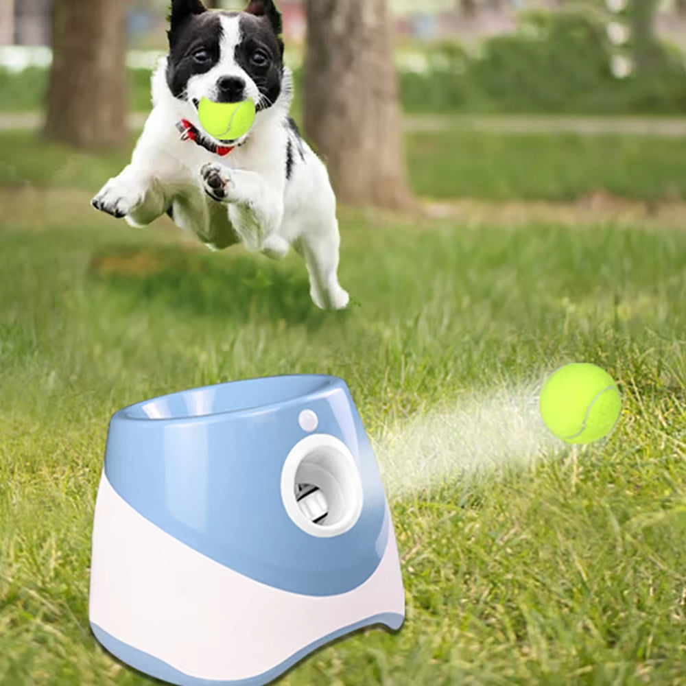 Interactive outdoor dog toy for exercise and play.