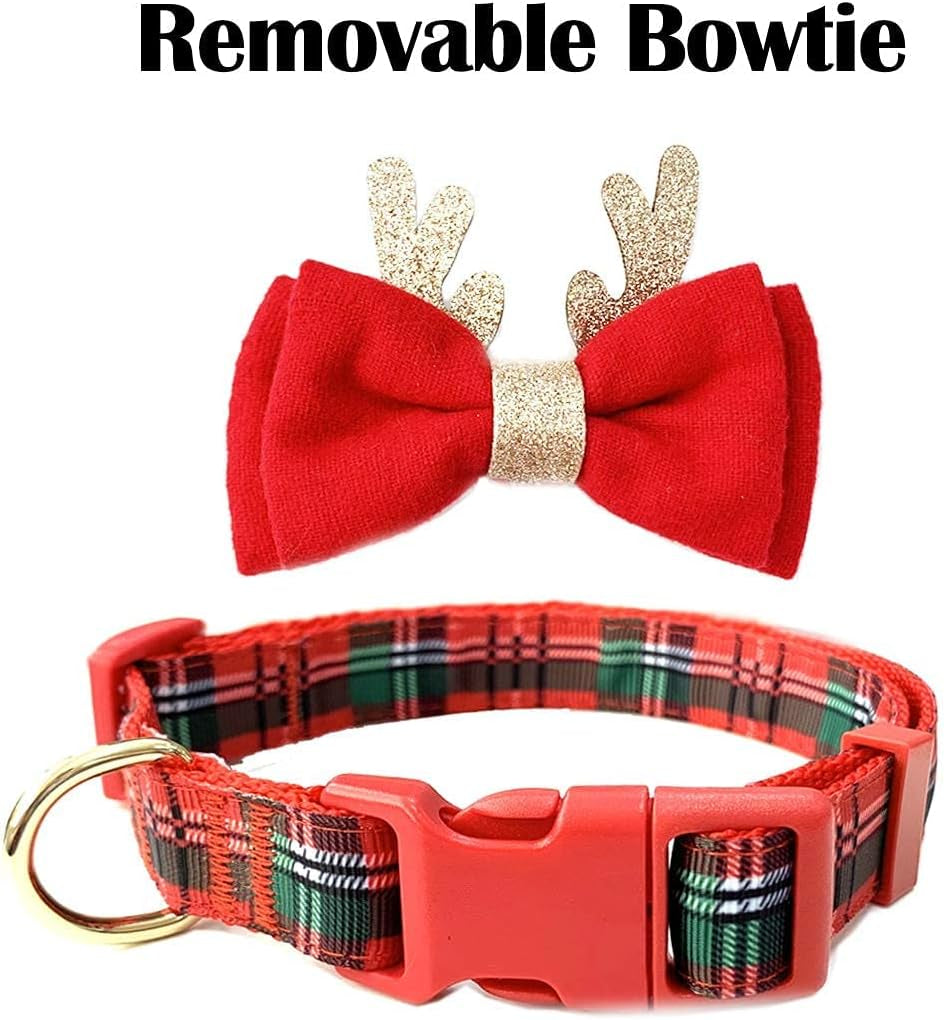 Comfortable and Festive Dog Collar for Valentine's Day