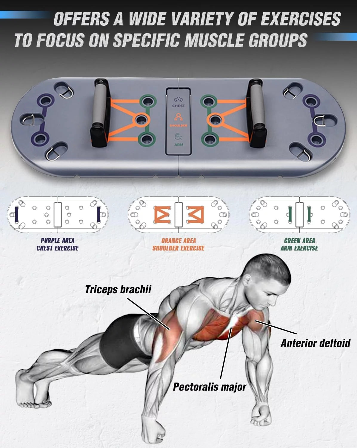 Complete muscle development kit with 5-level booty bands.