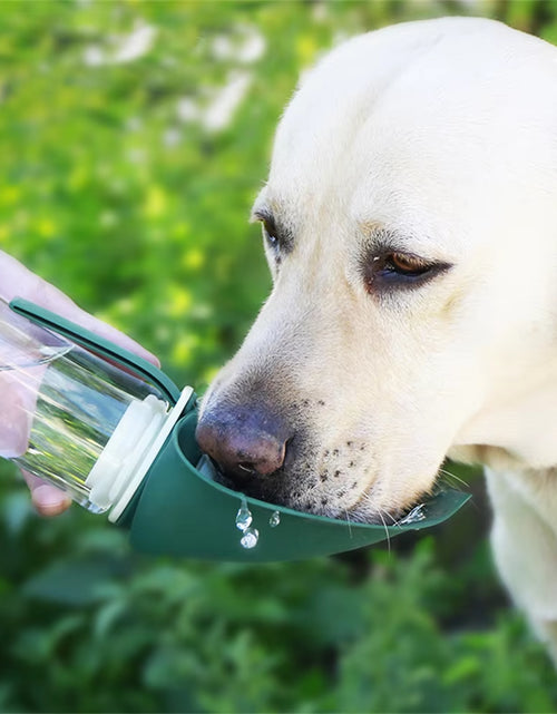 Load image into Gallery viewer, Lightweight and durable pet hydration bottle

