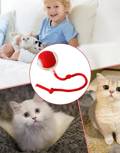 Load image into Gallery viewer, Cat Interactive Ball Toys Cat Ball Toy Automatic Rolling Fake Tail Ball Smart Pet Toy Pet Interactive Toys for Indoor Playing
