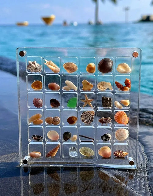 Load image into Gallery viewer, Elegant Transparent Acrylic Seashell Display Case - Magnetic Showcase for Treasured Gifts
