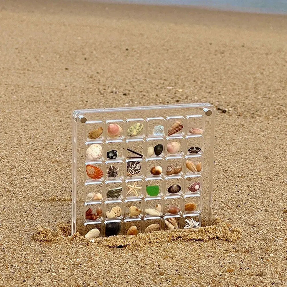 Elegant Transparent Acrylic Seashell Display Case - Magnetic Showcase for Treasured Gifts