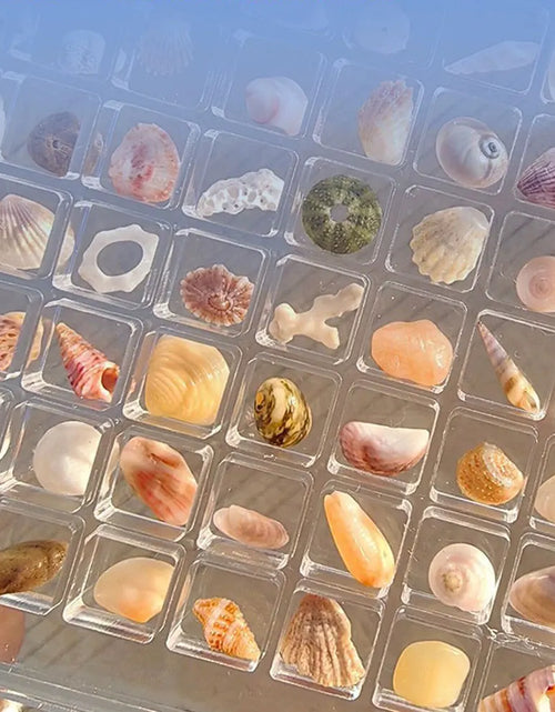 Load image into Gallery viewer, Elegant Transparent Acrylic Seashell Display Case - Magnetic Showcase for Treasured Gifts
