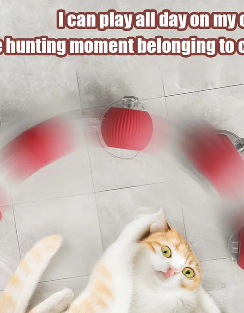 Load image into Gallery viewer, Cat Interactive Ball Toys Cat Ball Toy Automatic Rolling Fake Tail Ball Smart Pet Toy Pet Interactive Toys for Indoor Playing
