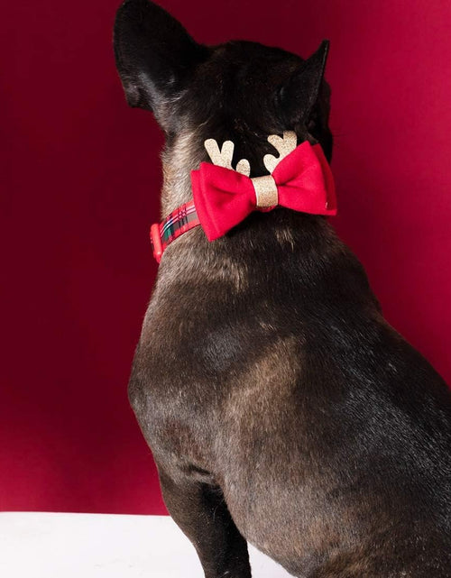 Load image into Gallery viewer, High-Quality Nylon Dog Collar with Pink Hearts for Valentine&#39;s Day
