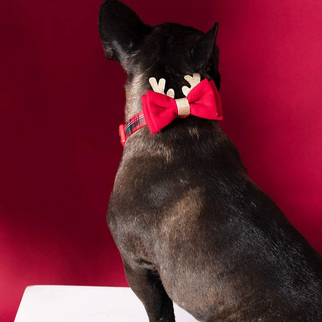 High-Quality Nylon Dog Collar with Pink Hearts for Valentine's Day