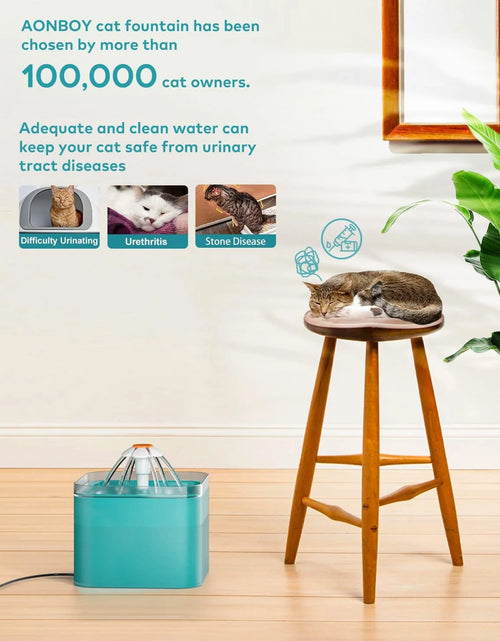 Load image into Gallery viewer, WEPSEN Cat Water Fountain with Activated Carbon Filter
