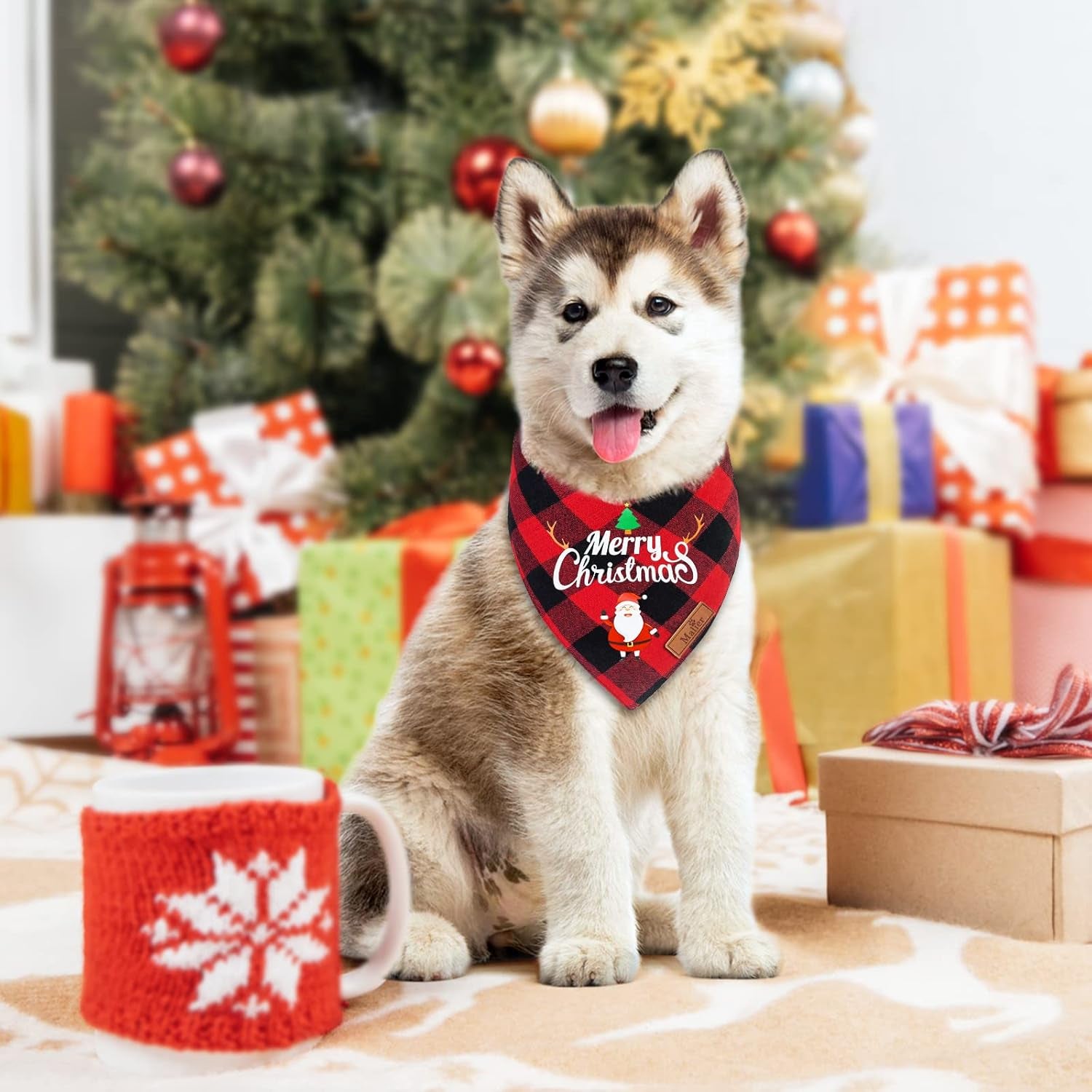 Holiday-themed dog accessories for cats and dogs.