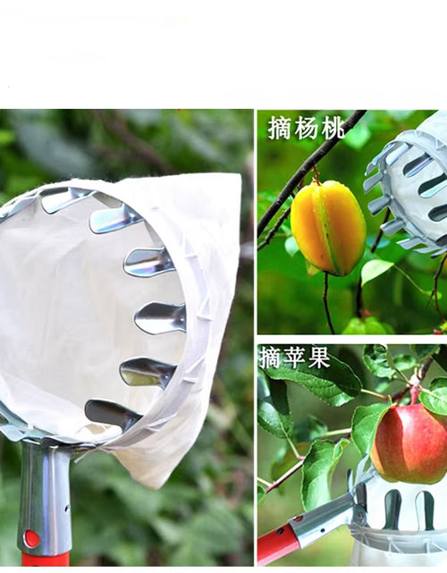 Load image into Gallery viewer, Metal Fruit Picker for Orchard Gardening - High Tree Apple and Peach Collection Tool
