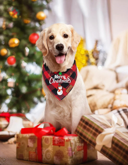 Load image into Gallery viewer, Large dog with a green plaid Christmas scarf.
