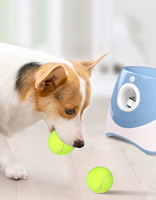 Load image into Gallery viewer, Automatic Dog Tennis Ball Launcher - Interactive Outdoor Training Toy with Treat Dispenser
Automatic Dog Tennis Ball Launcher with Treat Dispenser.
