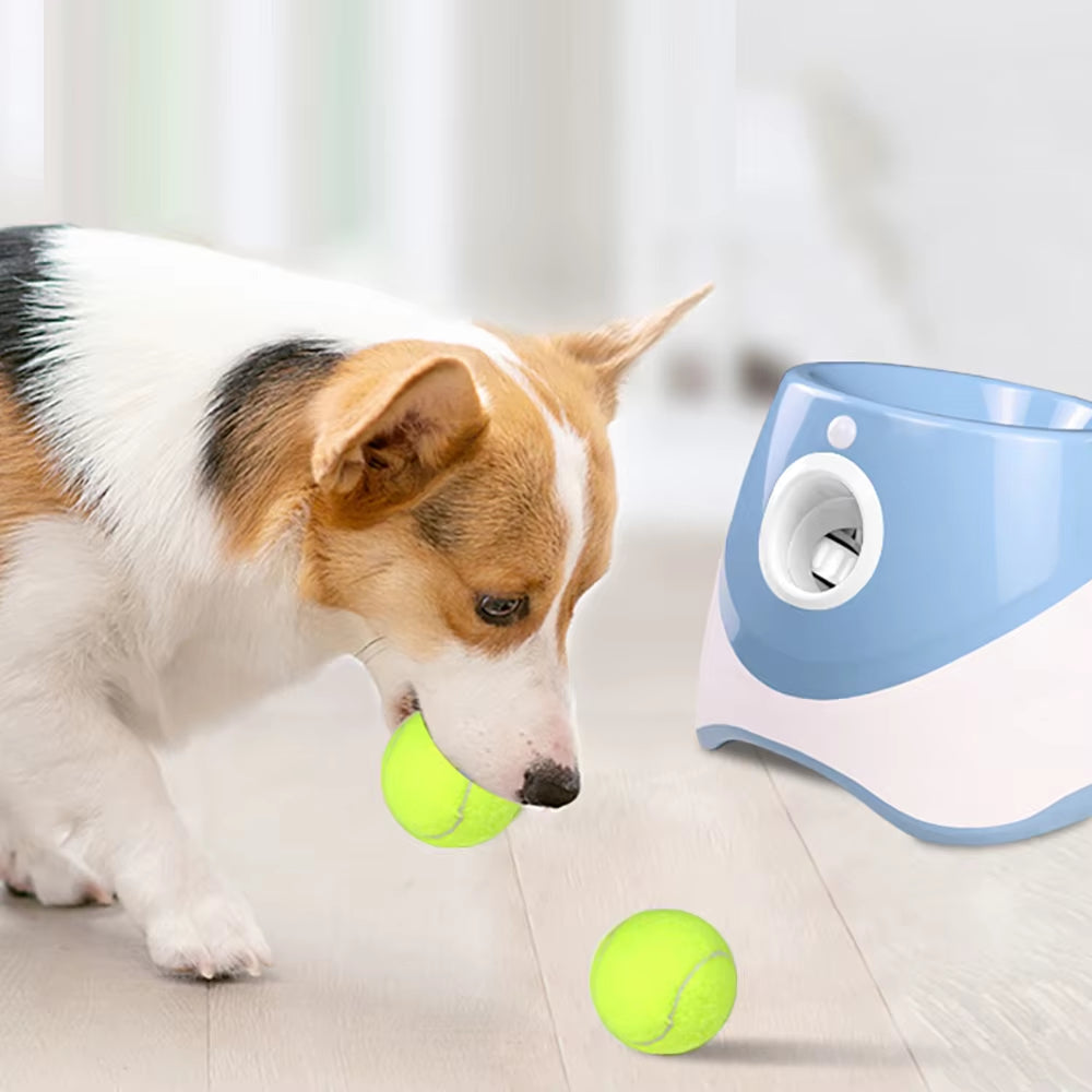 Automatic Dog Tennis Ball Launcher - Interactive Outdoor Training Toy with Treat Dispenser
Automatic Dog Tennis Ball Launcher with Treat Dispenser.